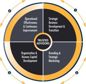 Solutionstream trusted advisor circle showing company capabilities